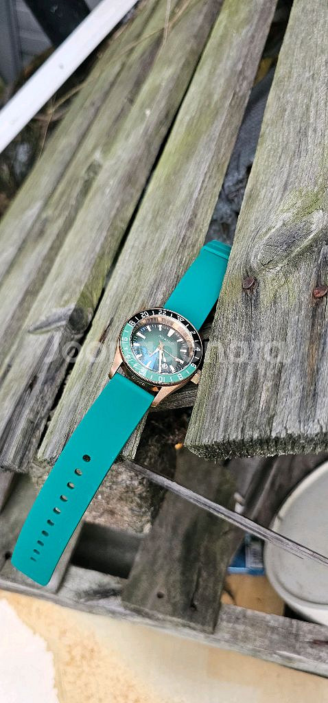 아쿠아티코 브론즈 GMT 다이버--3
