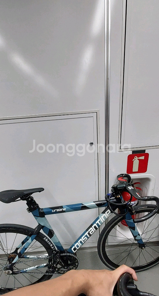 콘탄 어베인 패턴블루 22년식--0