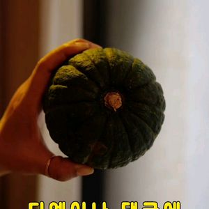 제주 밤 단호박