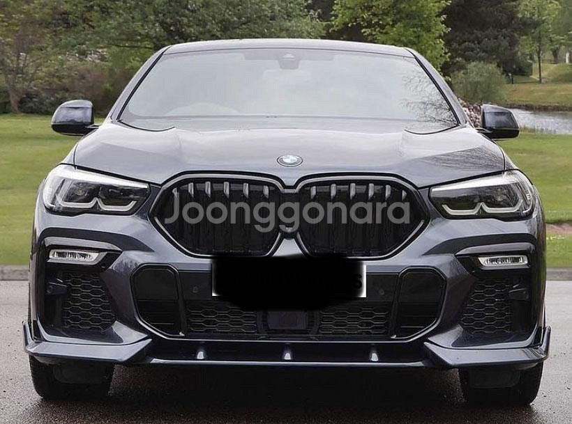 BMW X6 G06 X6M F96 키드니 그릴--2
