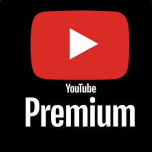 유튜브 프리미엄 개인 회원 월/6개월/년