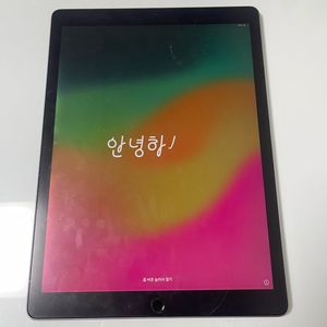 아이패드 프로 2세대 12.9 256기가