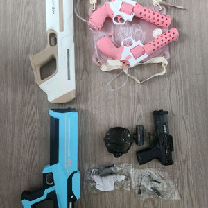 전동물총 4개