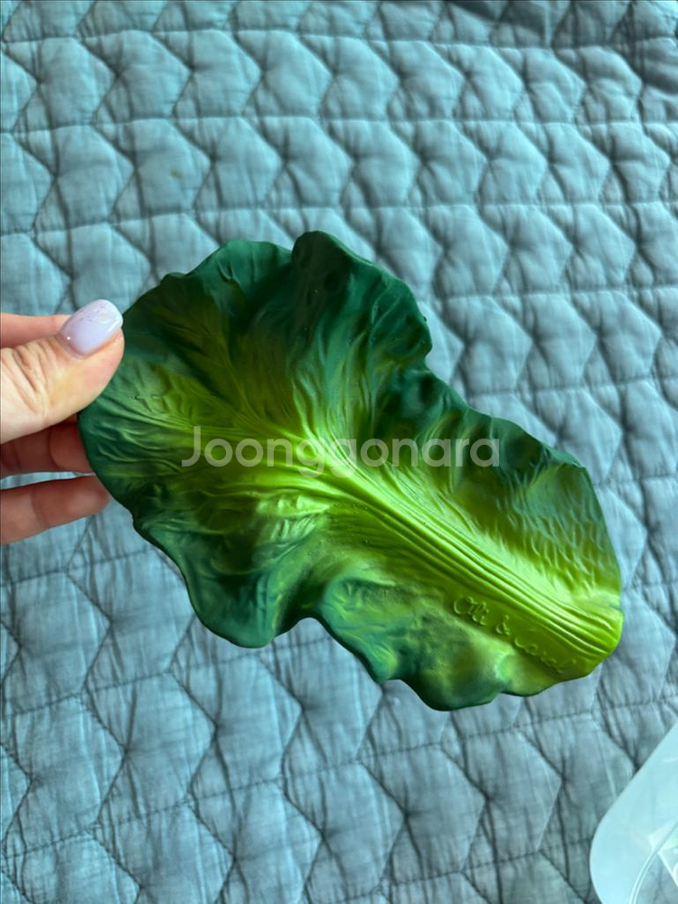 치발기 일관--1
