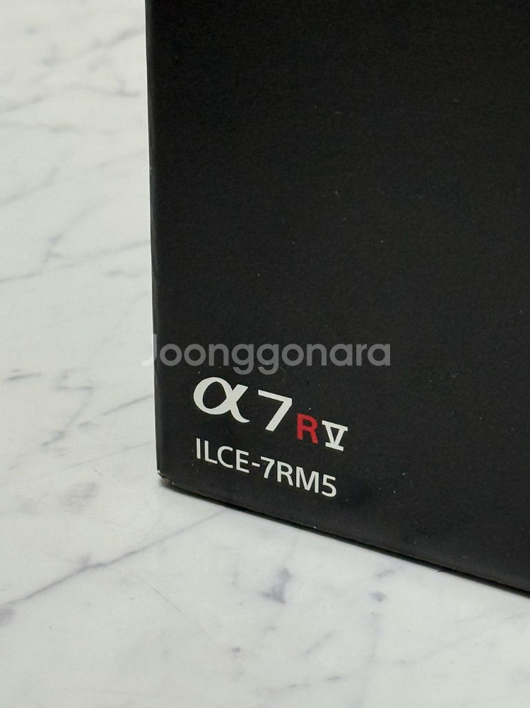 소니 A7R5 (ILCE-7RM5)--6