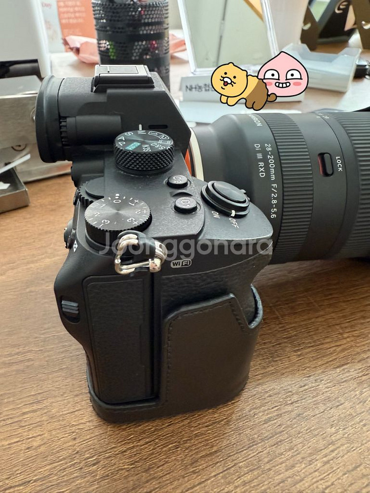 소니 A7M3 + 탐론 28200 렌즈--3