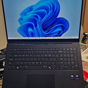 25 17인치 그램 179Z90TP-GD7BK 팝니다