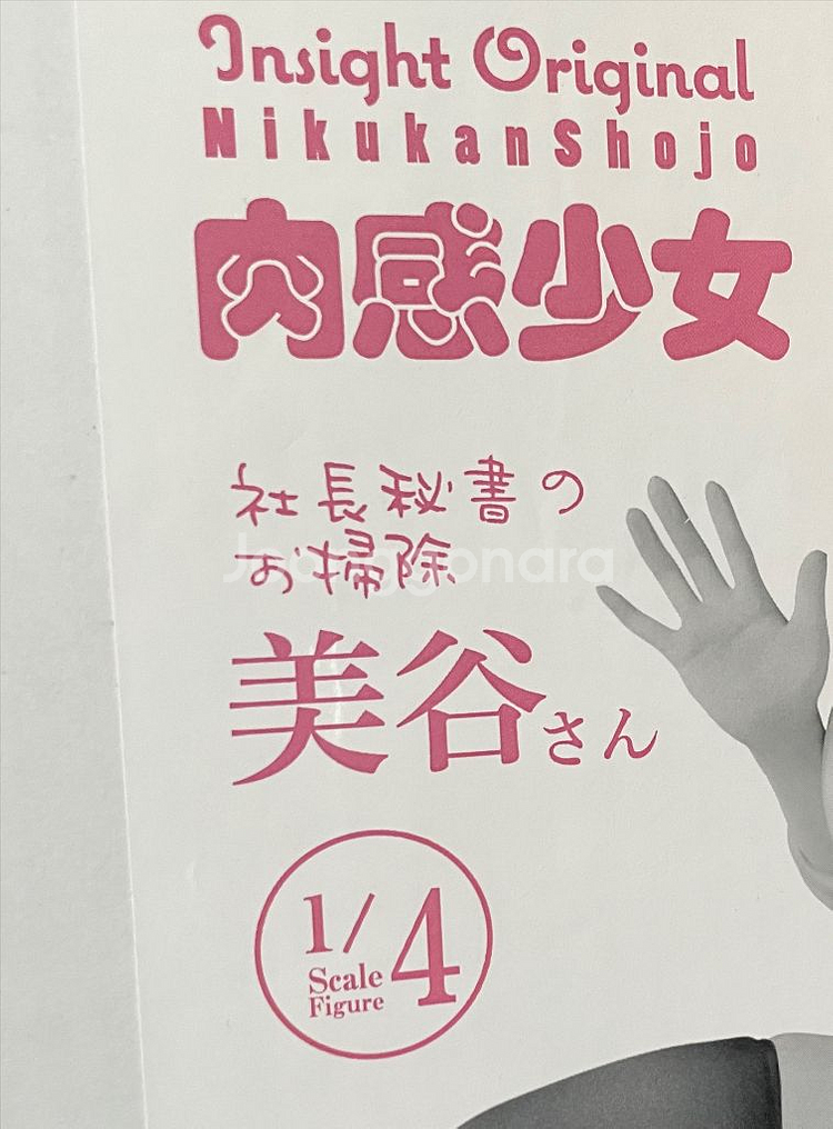 인사이트 육감소녀 미타니 치히로 1/4--2