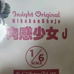 인사이트 육감소녀 J 피규어