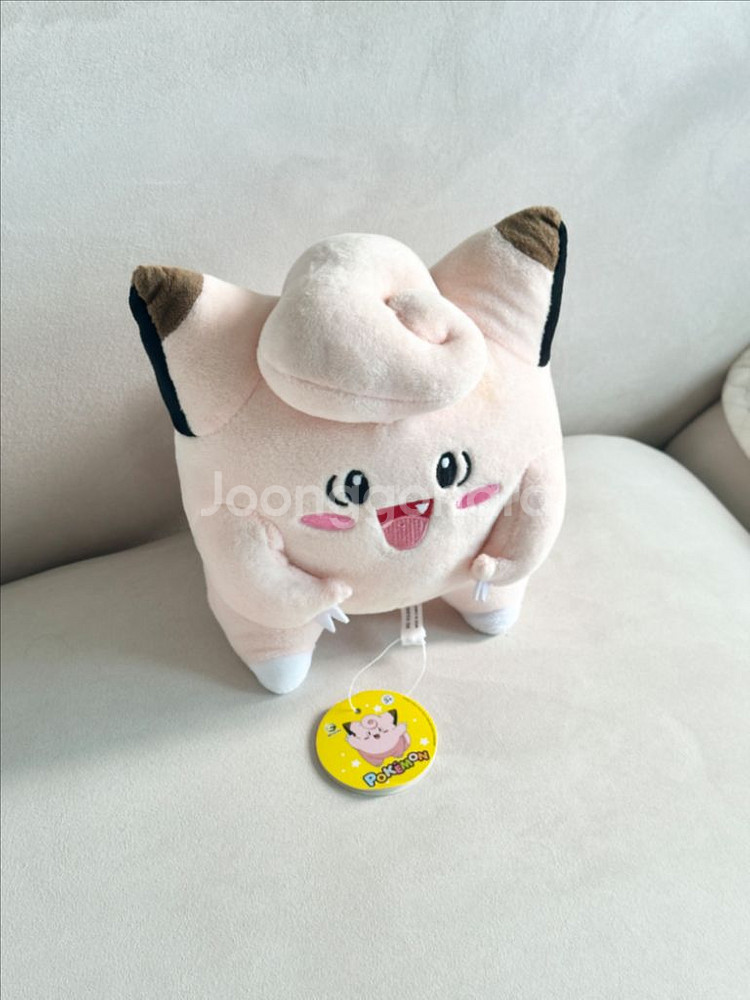 포켓몬스터 삐삐인형--1