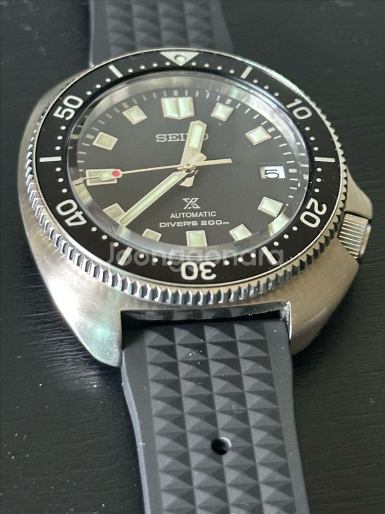 세이코 윌라드 터틀--0