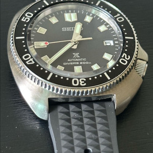 세이코 윌라드 터틀