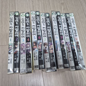 심연의 카발리어 1-21권 판매합니다.
