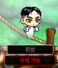 메랜 메이플랜드 SS급 닉네임 2글자 팝니다--0
