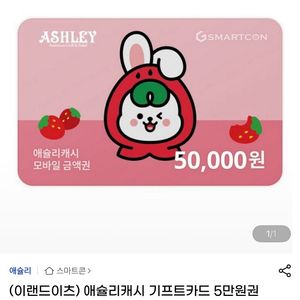 애슐리 5만원
