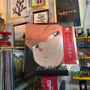 (미개봉) 아도이Adoy catnip 캣닢 LP