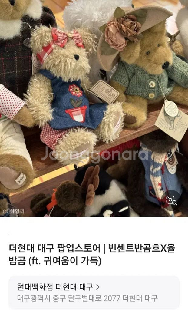 보이즈 베어 한정판--2