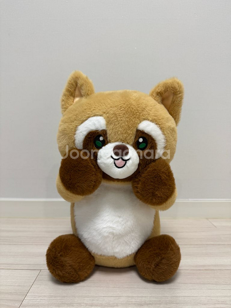 까꿍너구리 중대형--0