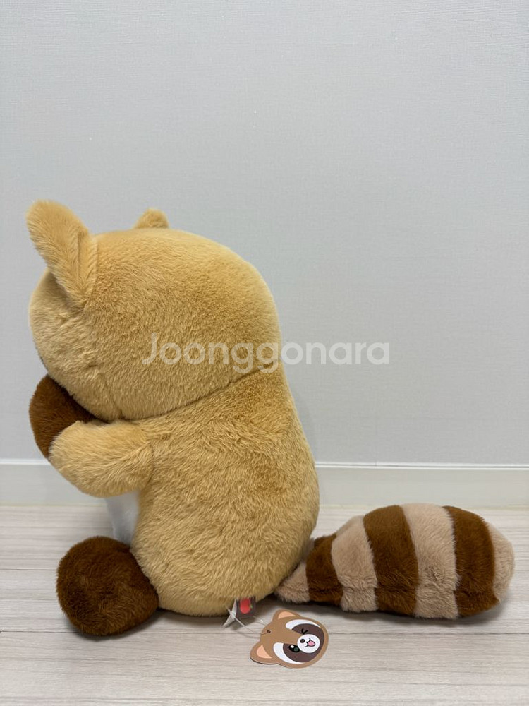 까꿍너구리 중대형--1