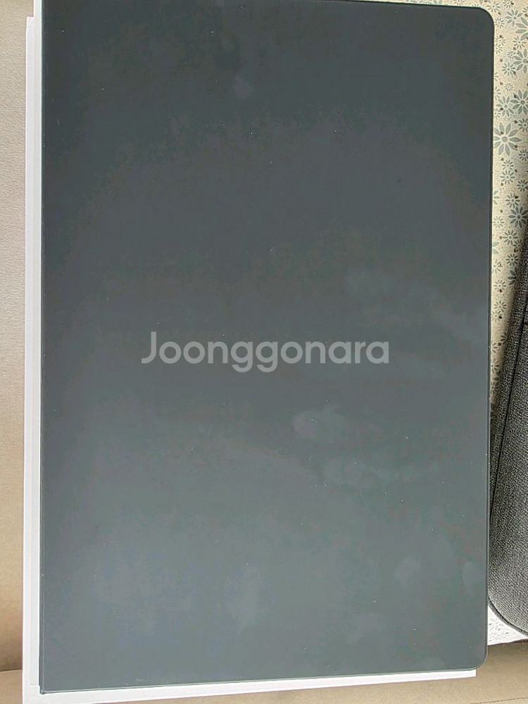갤탭 S10 울트라 1TB 팜--4