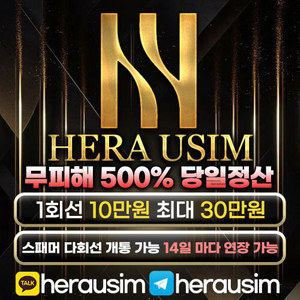 선불 유심 내구제