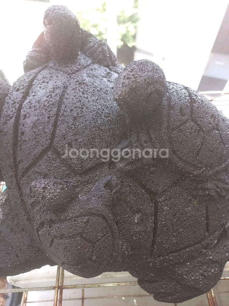 제주 현무암 거북이4식구 조각작품--3