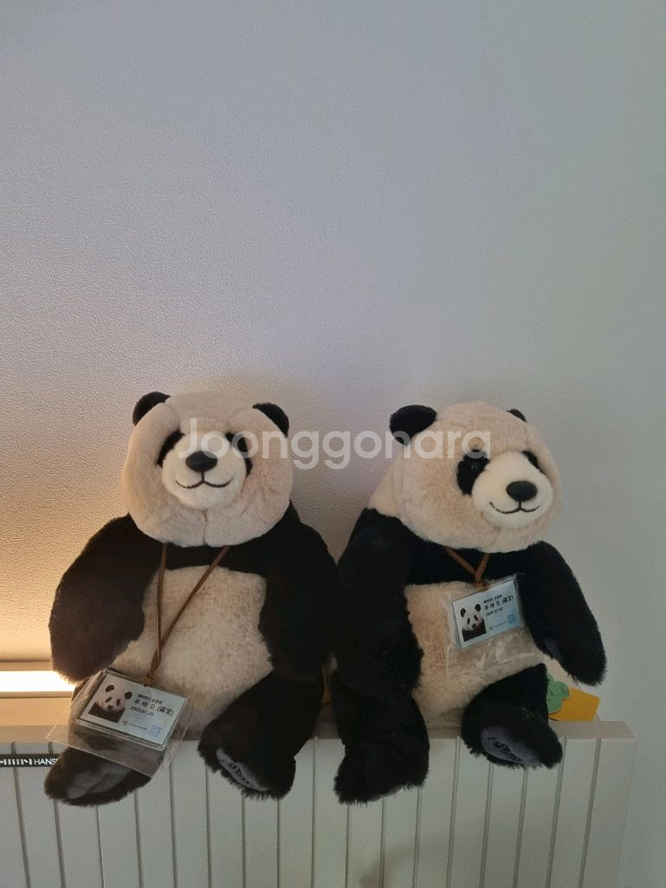 푸사원인형 푸바오--0