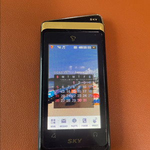 듀퐁폰(스카이 im-u510le) 골드 에디션