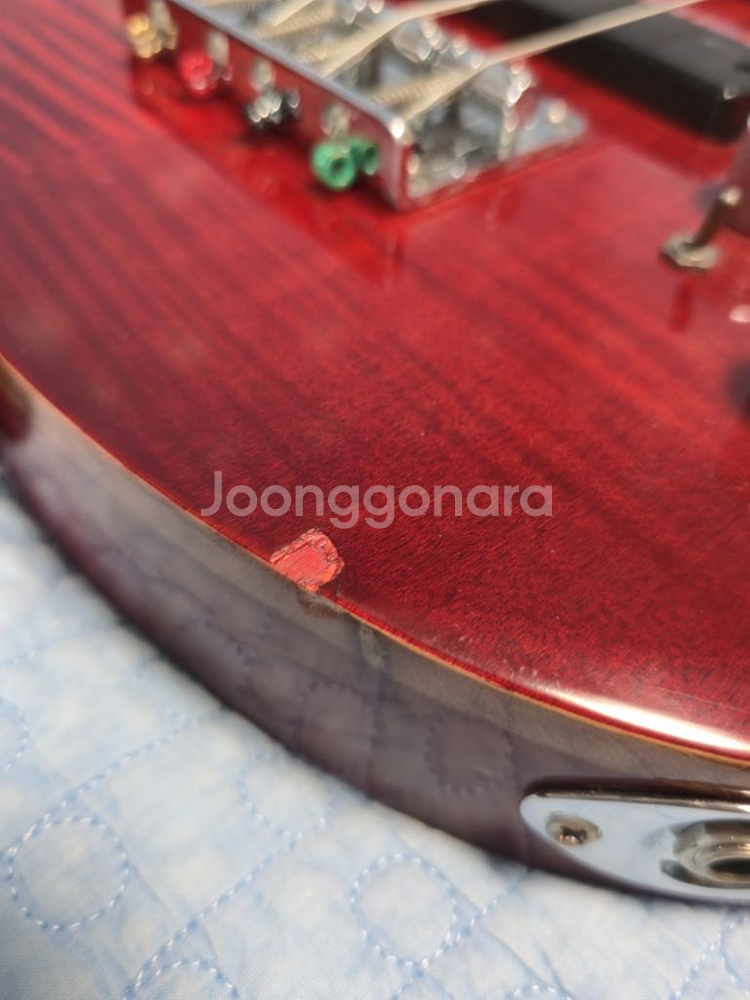 데임 폴앤폴 250 베이스 joyo ma-10b 엠프--1