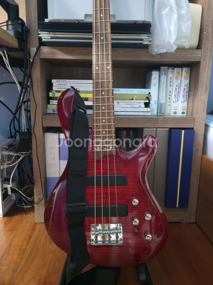 데임 폴앤폴 250 베이스 joyo ma-10b 엠프--0