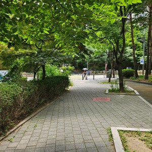 로드자전거삽니다