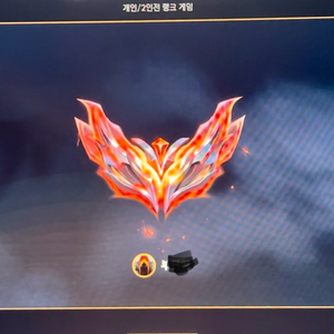 롤 대리 최저가