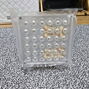 콩알 실버바 판매