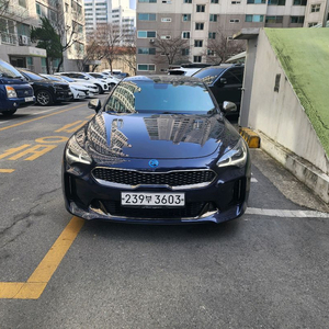개인 스팅어2.0플래티넘후륜