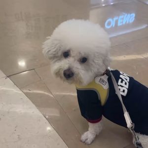 7/5(토) 잠실 두산 KT전 1루 211구역 2연석