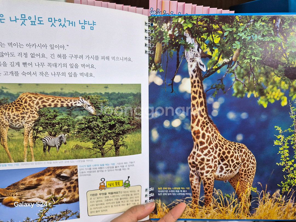 여원미디어 플러스업 자연속으로 101권--2