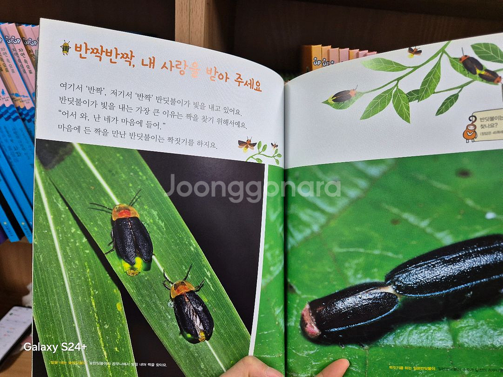 여원미디어 플러스업 자연속으로 101권--4