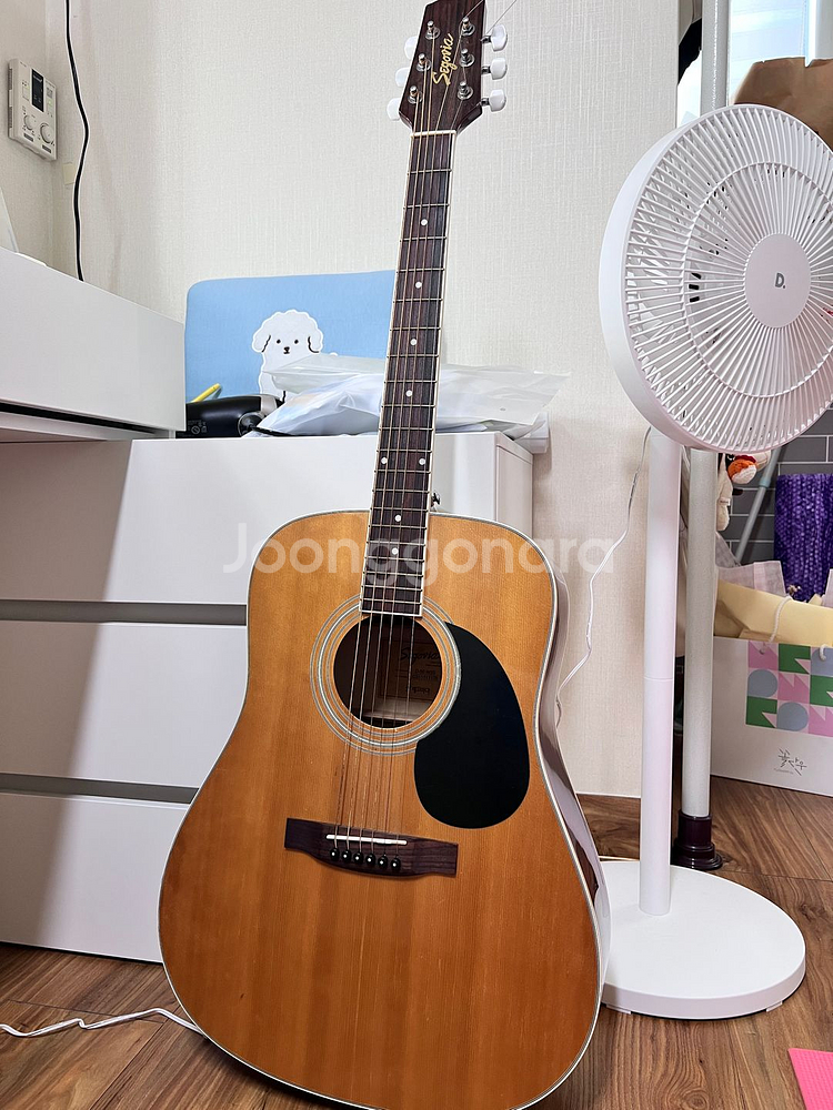 세고비아 통기타--0