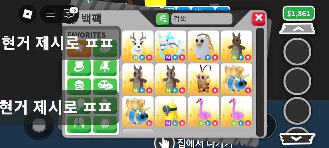 입양하세요 펫 현거로 판매합니다--0
