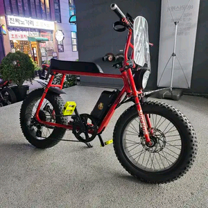 모페즈 750w