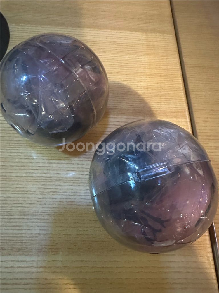 반다이 생물대도감 장수풍뎅이08 삼각뿔 장수풍뎅이--1