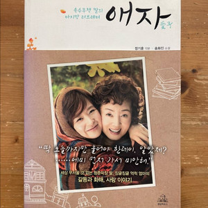 애자 - 송화진