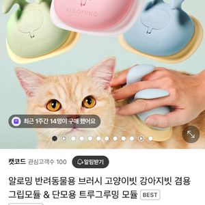 알로밍 고양이 강아지 빗
