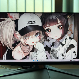 ASUS PG259QNR 360Hz 찐싱크 모니터