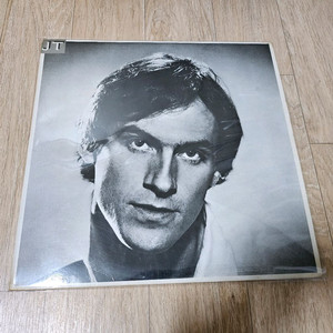 제임스테일러 lp판 - handy man