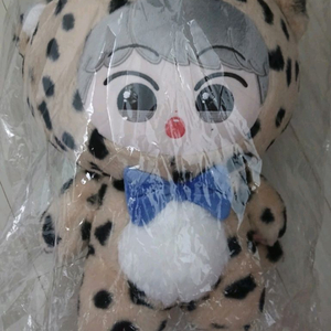 엔시티 마크 인형 포카