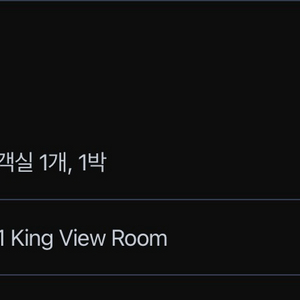 7/20 비엔나 안다즈 호텔 1박 양도(킹뷰룸 15만)