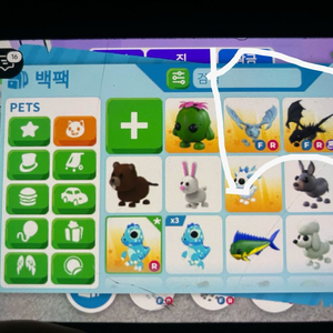 입양하세요 날타 얼드 날타 쉐드 판매