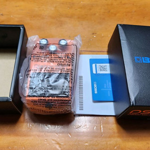 보스 Boss DS-1