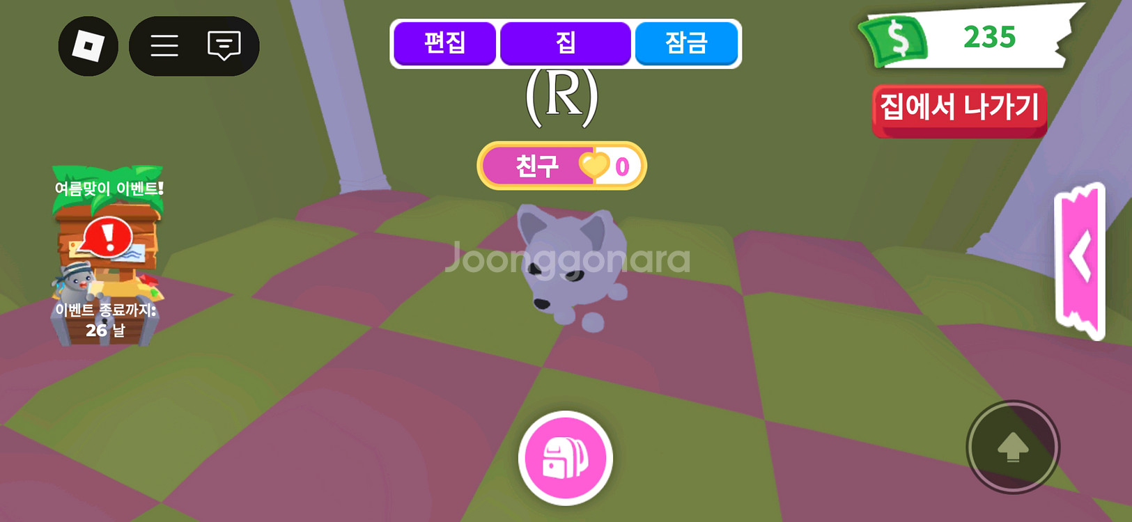 입양하세요 북극여우 팝니다--0
